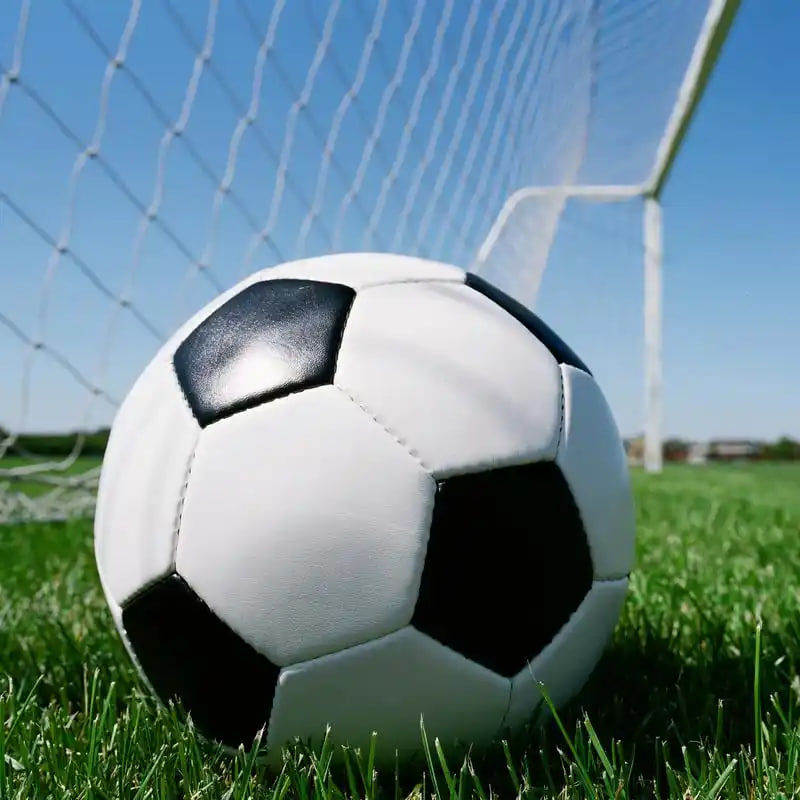 球探体育(旧版本)应用界面展示